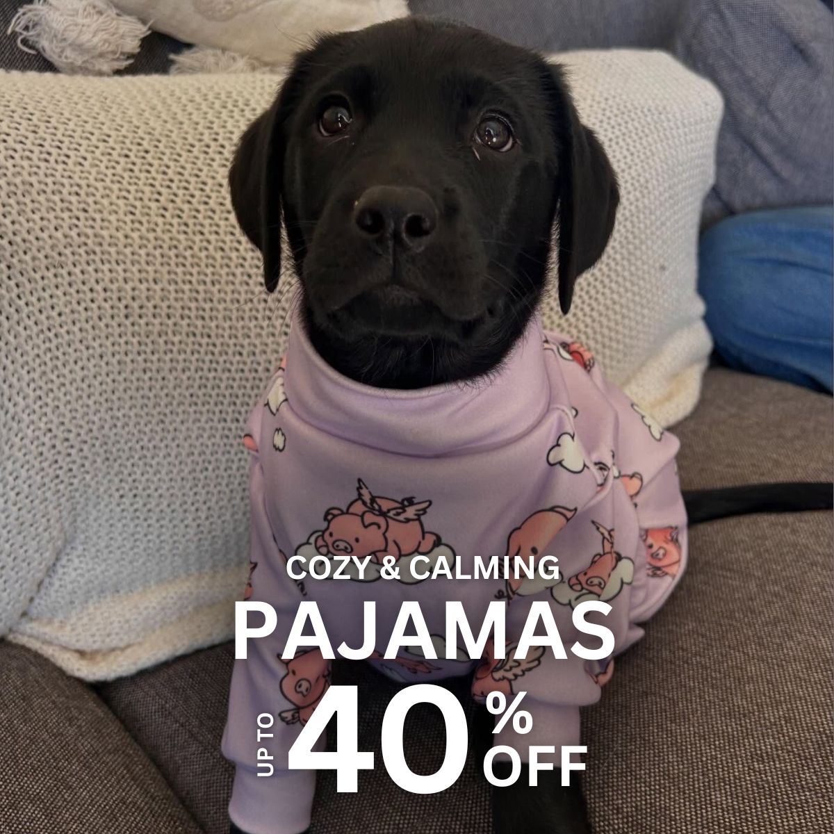 Spark Paws Facebook ad