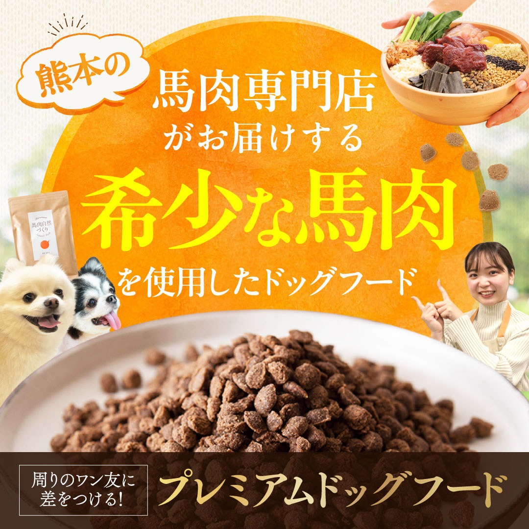 健康いぬ生活 Facebook ad