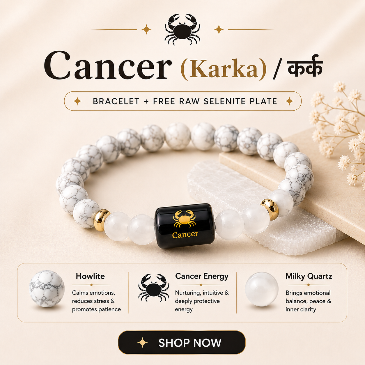 Vedic Astro Facebook ad
