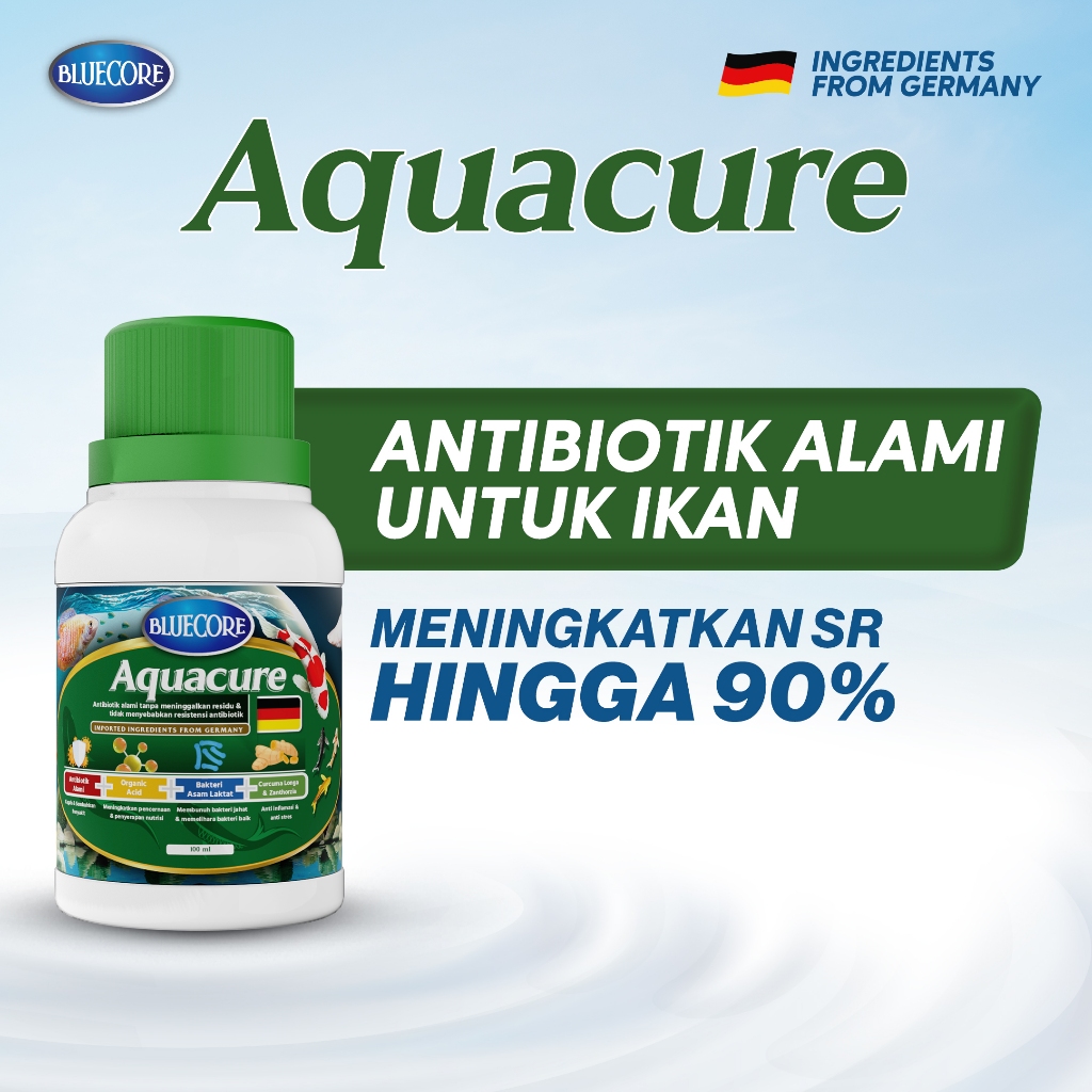 BlueCore Facebook ad: Gak perlu ragu, produk Bluecore sudah dipercaya ribuan…