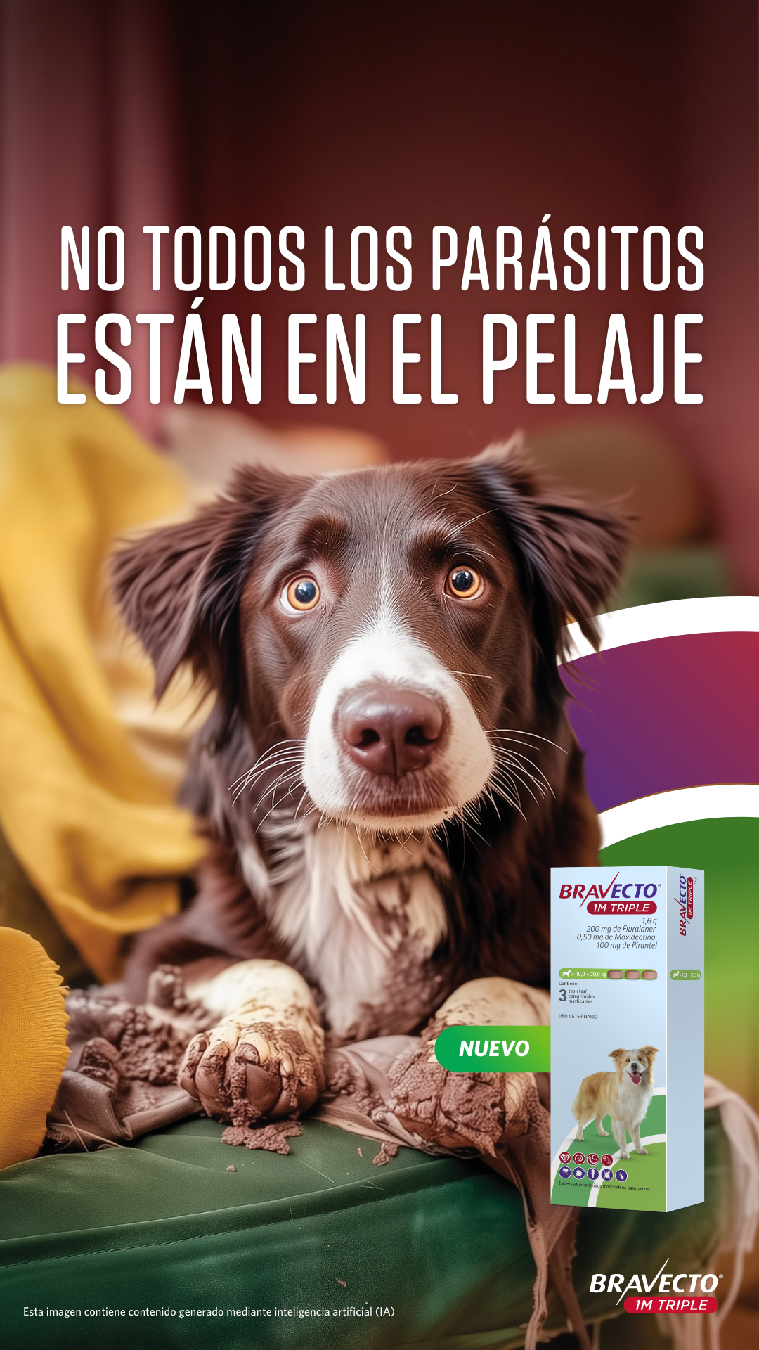 Bravecto LATAM Facebook ad