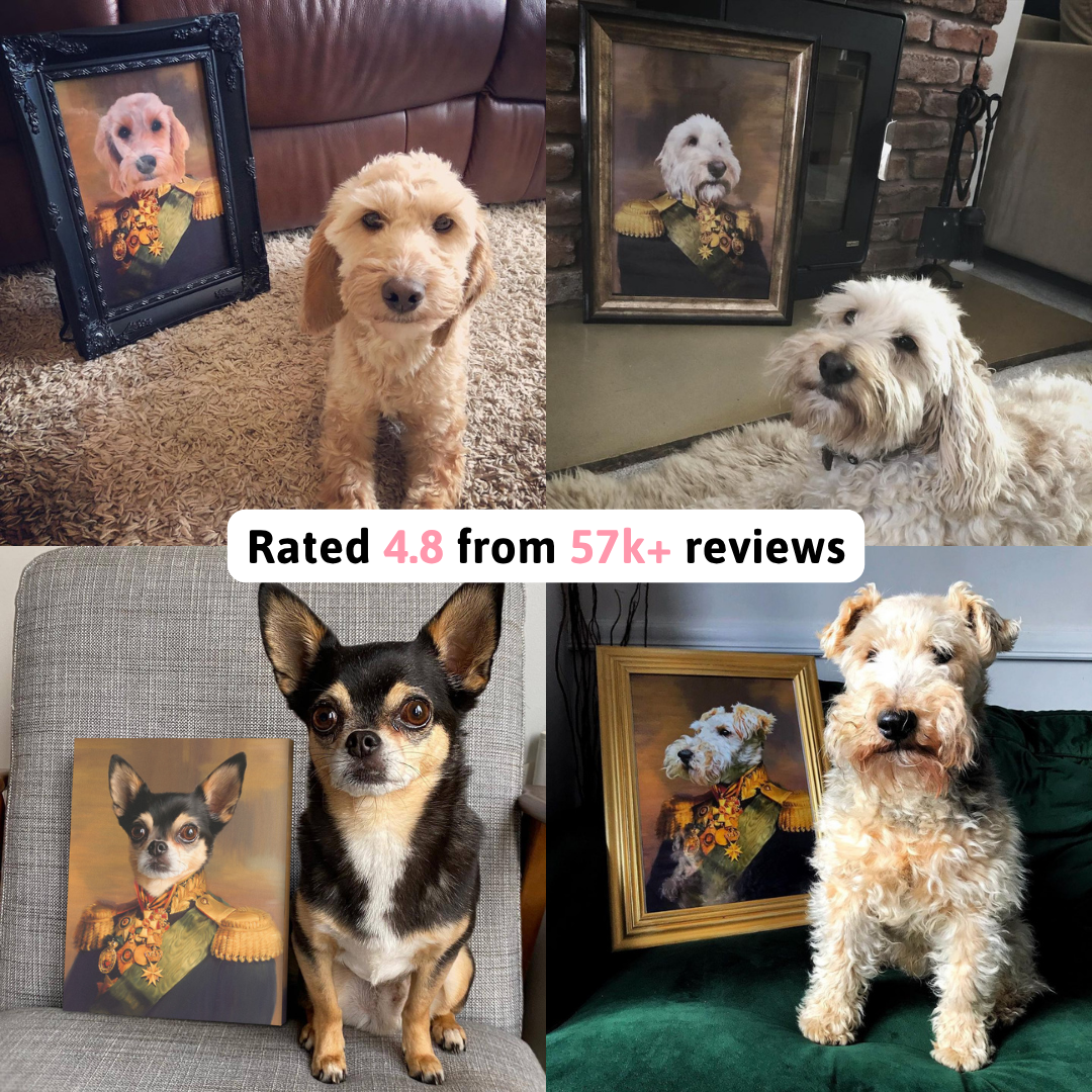 Crown & Paw Facebook ad