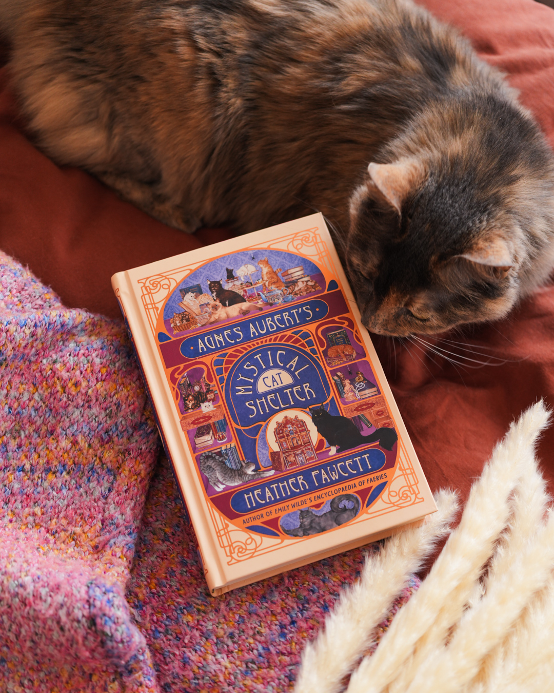 Del Rey Books Facebook ad: Second chances aren’t just for rescue cats....