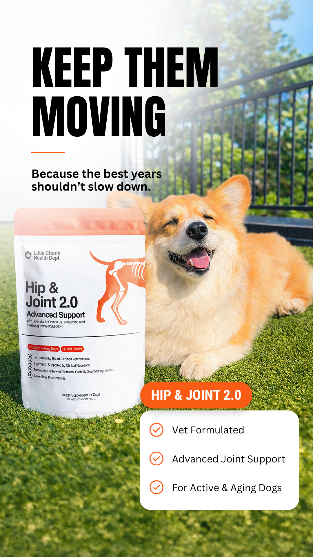 Little Chonk Facebook ad