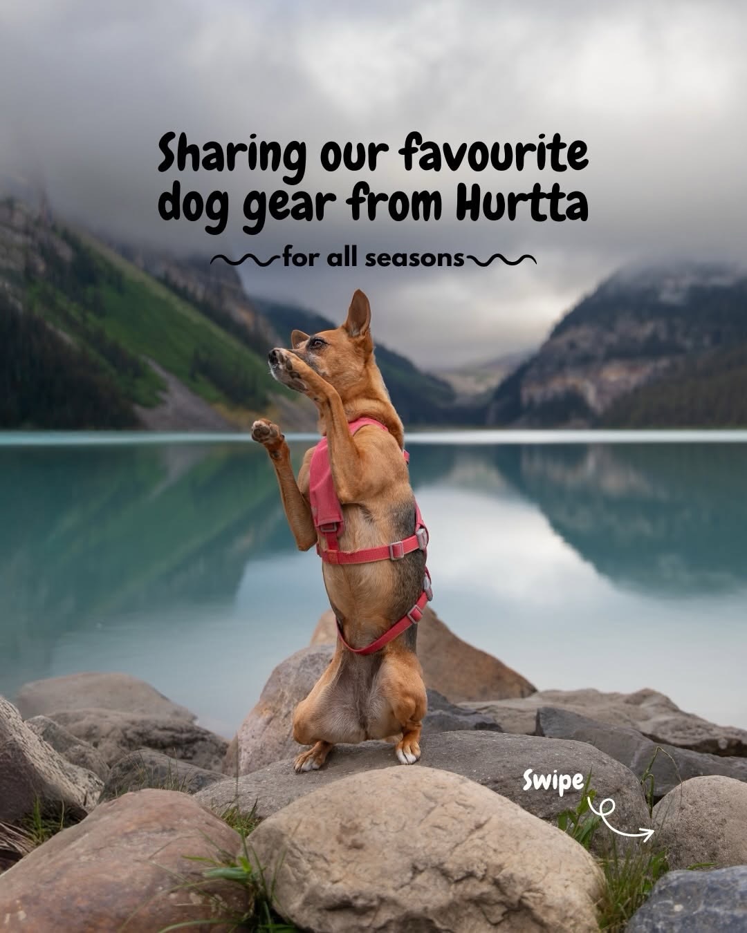 Hurtta Facebook ad: What is your favourite Hurtta gear or apparel?