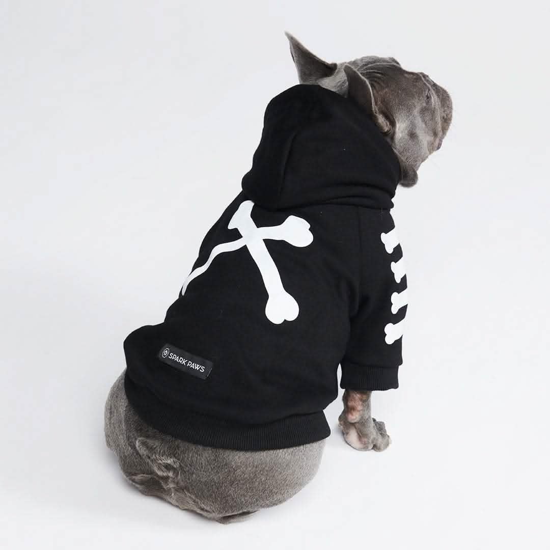 Spark Paws Facebook ad