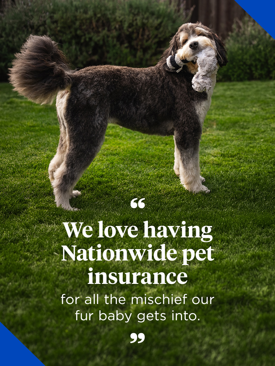 Nationwide Pet Facebook ad