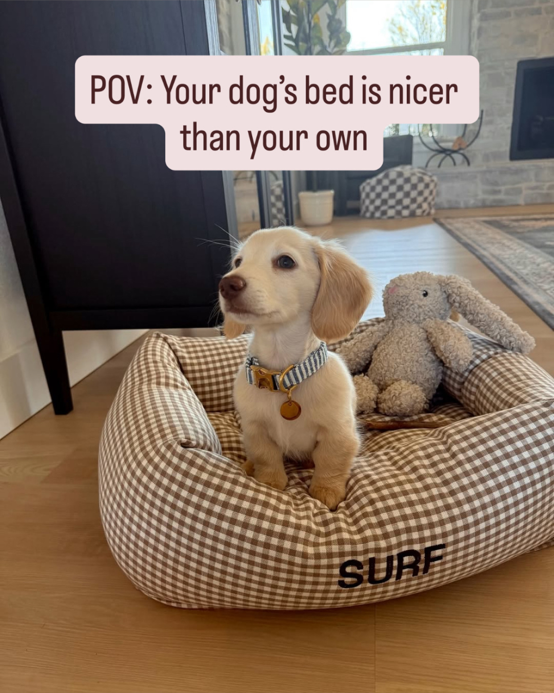 The Foggy Dog Facebook ad