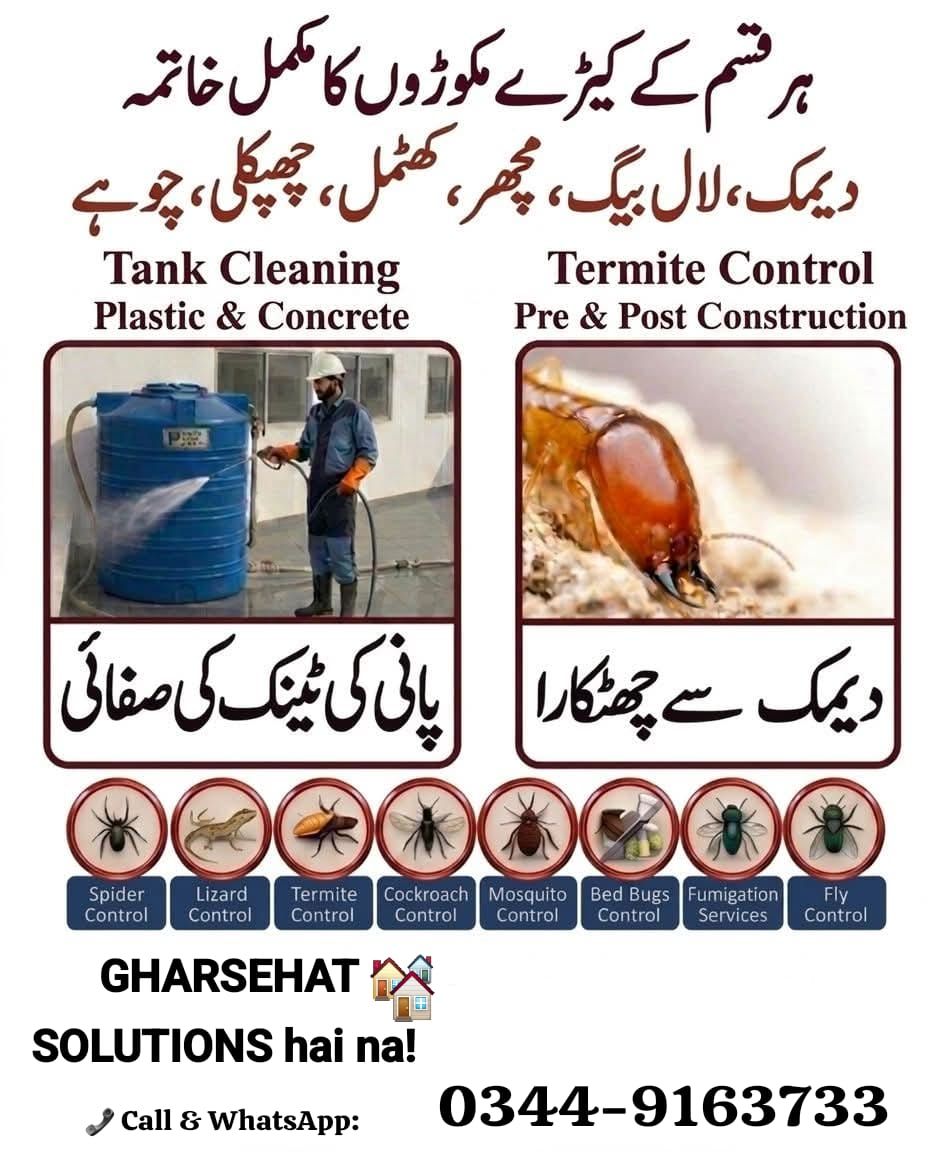 Gharsehat Solutions Facebook ad: Say Goodbye to Termites