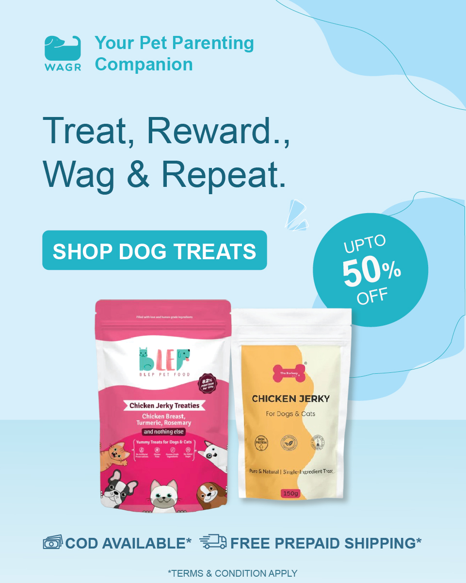 Wagr Facebook ad