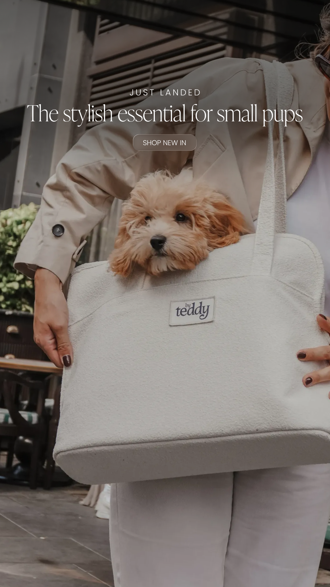 By Teddy Facebook ad