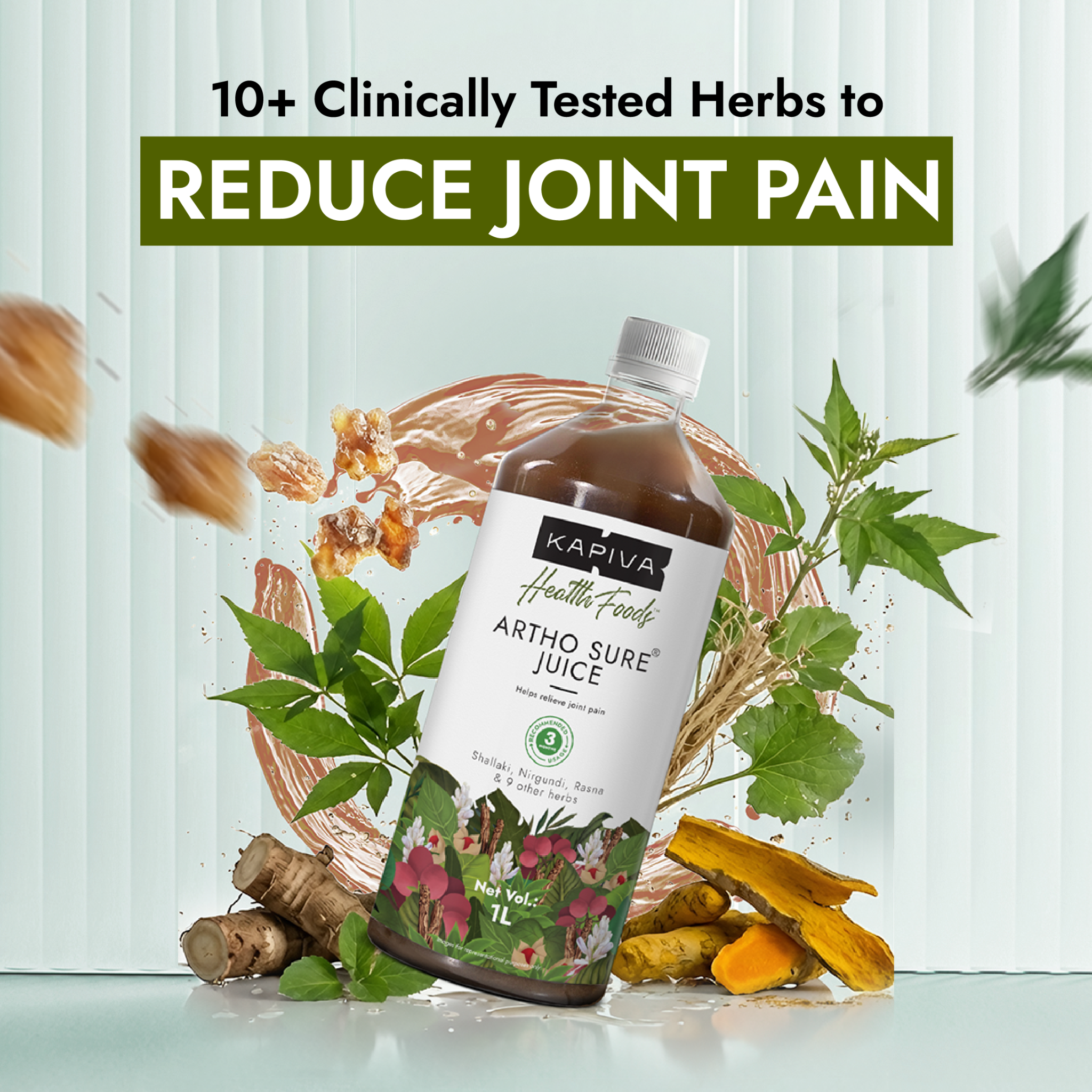 Chronic Health Solutions by Kapiva Facebook ad