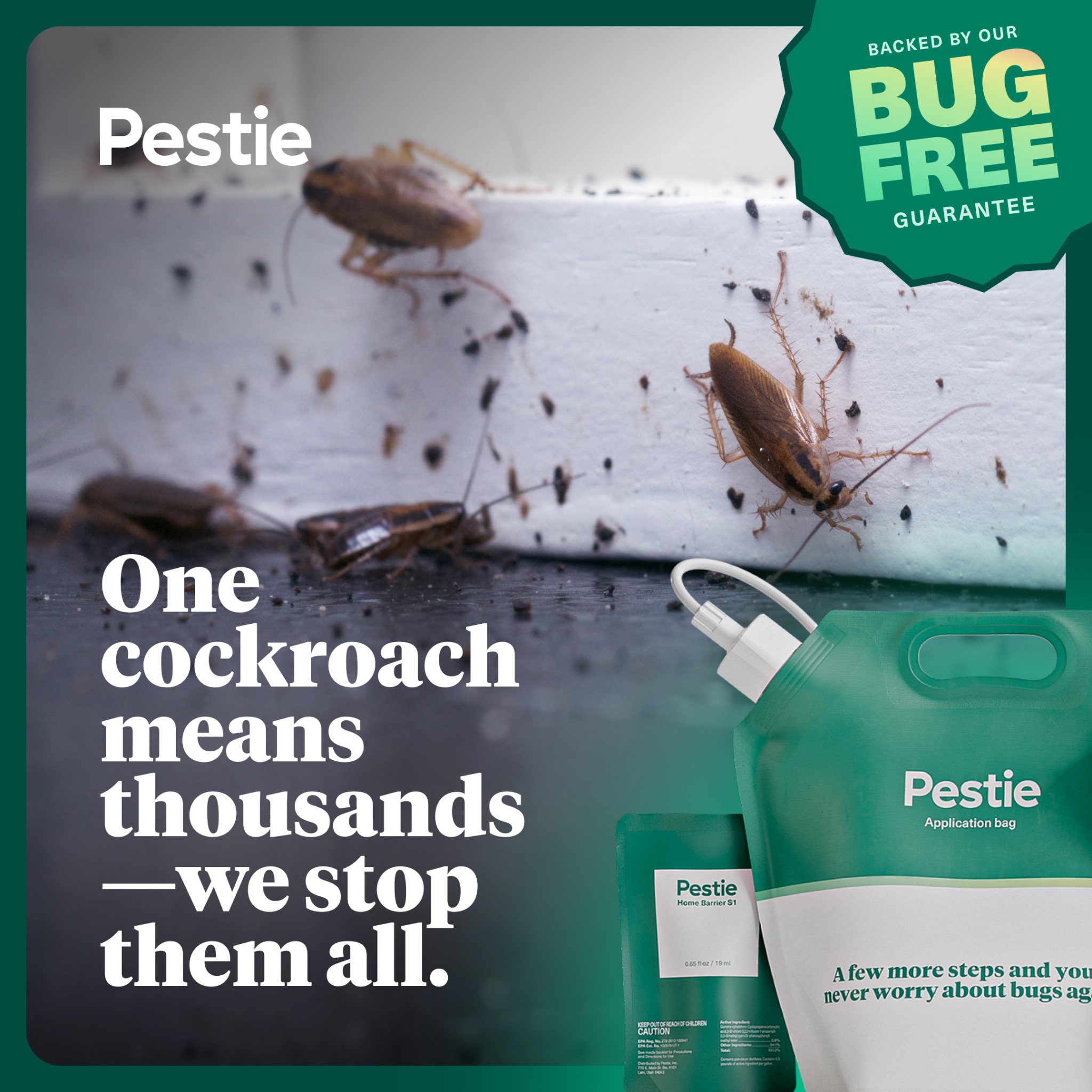 Pestie Facebook ad