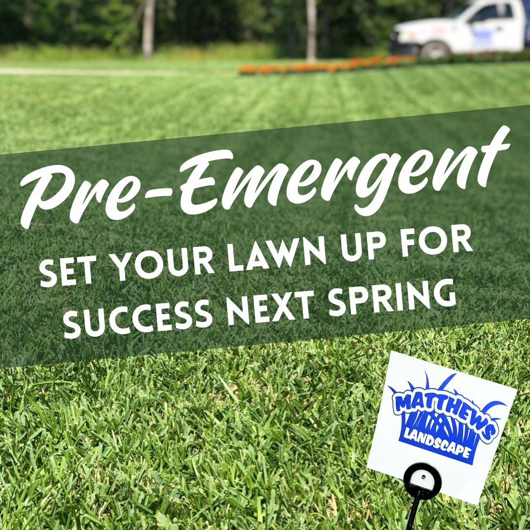 Matthews Landscape Facebook ad
