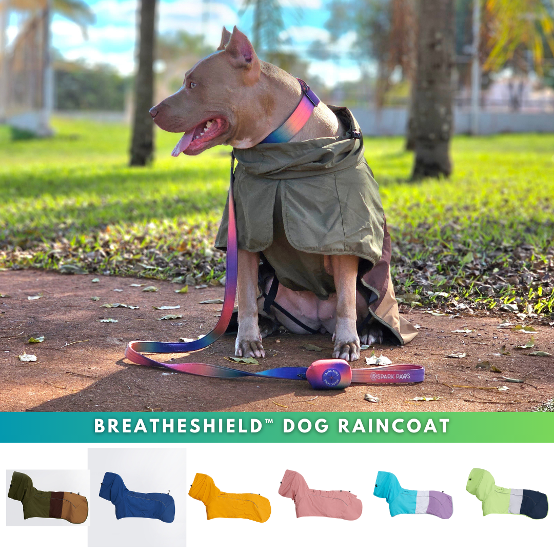 Spark Paws Facebook ad
