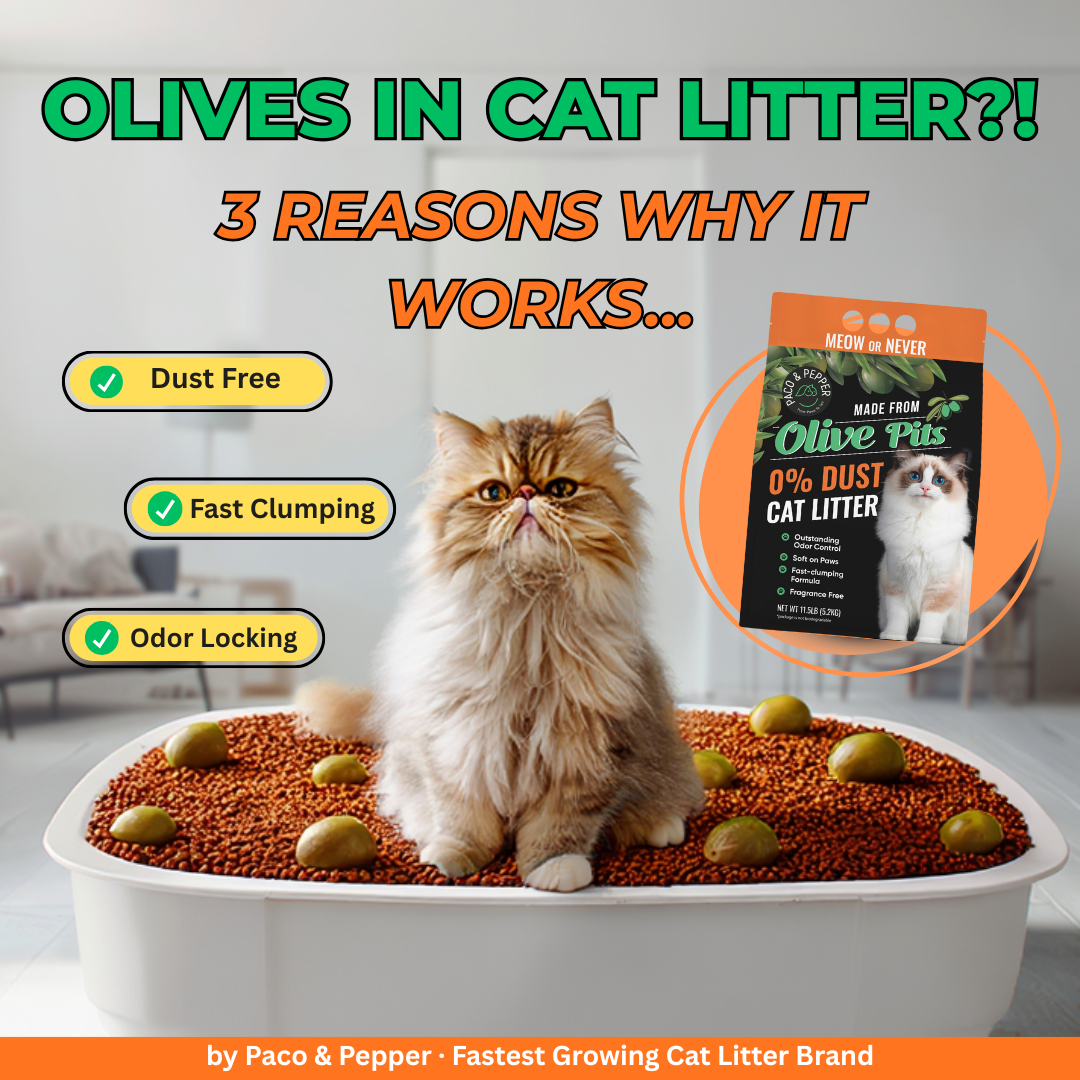 Paco&Pepper Facebook ad: Finally, a cat litter that actually works.