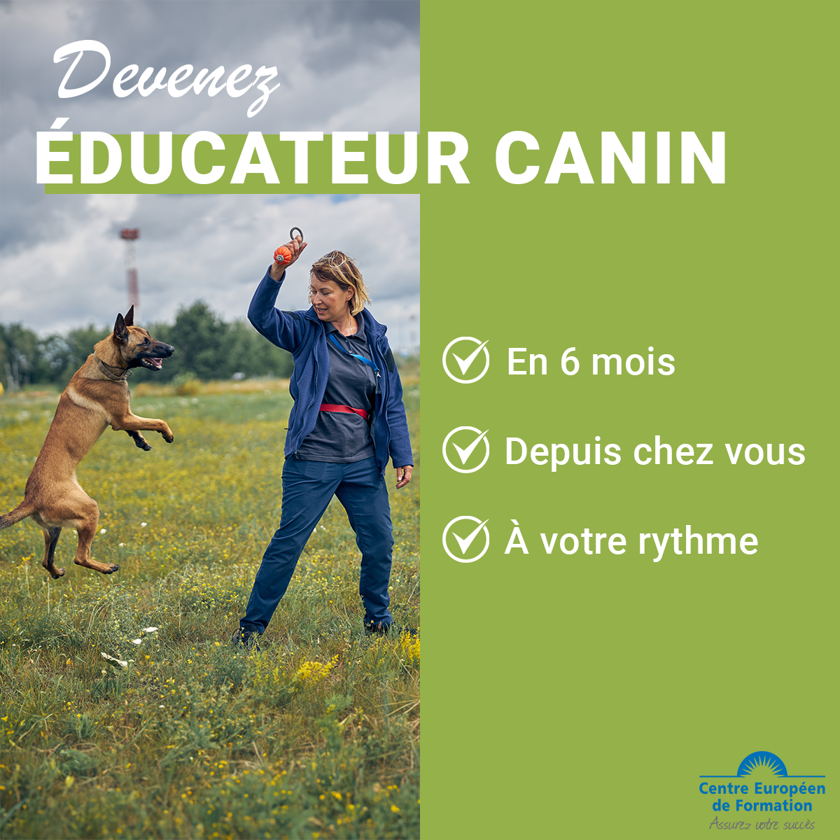 Centre Européen de Formation Facebook ad: Votre certificat d'éducateur canin