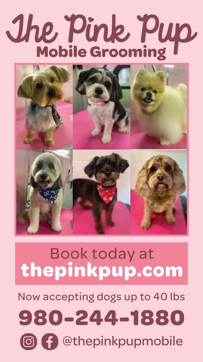 The Pink Pup Mobile Grooming Facebook ad from Feb 12, 2026