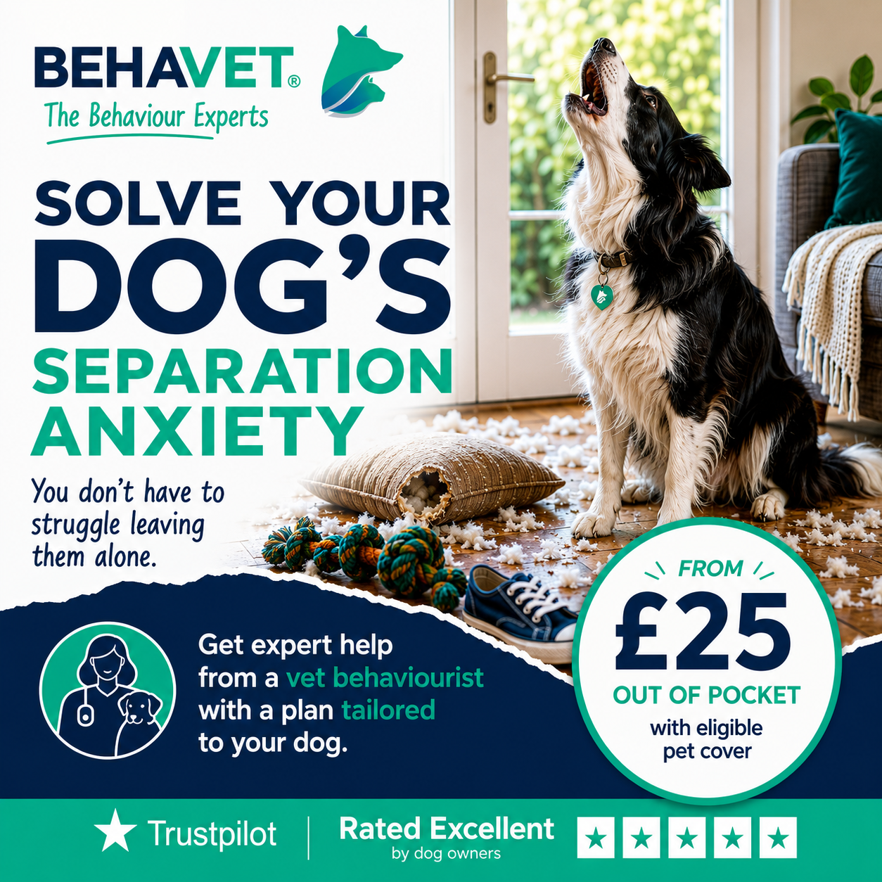 Behavet: The Pet Behaviour Experts Facebook ad