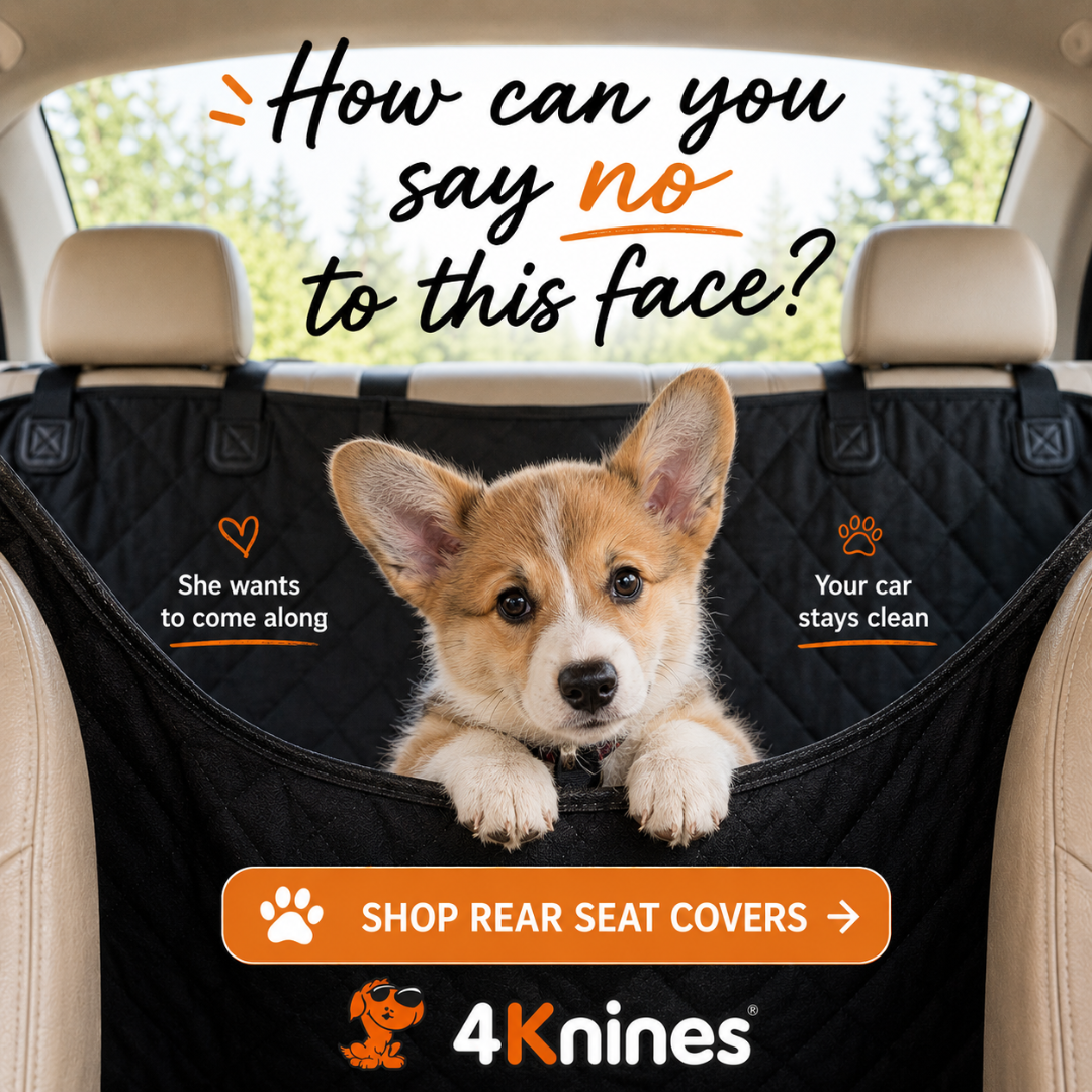 4Knines Facebook ad