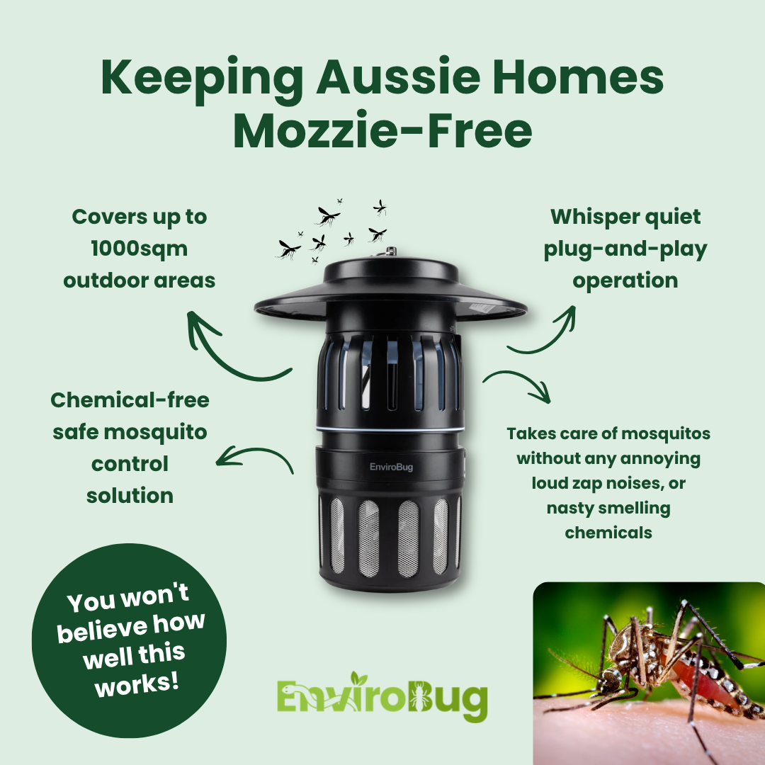 EnviroBug Facebook ad