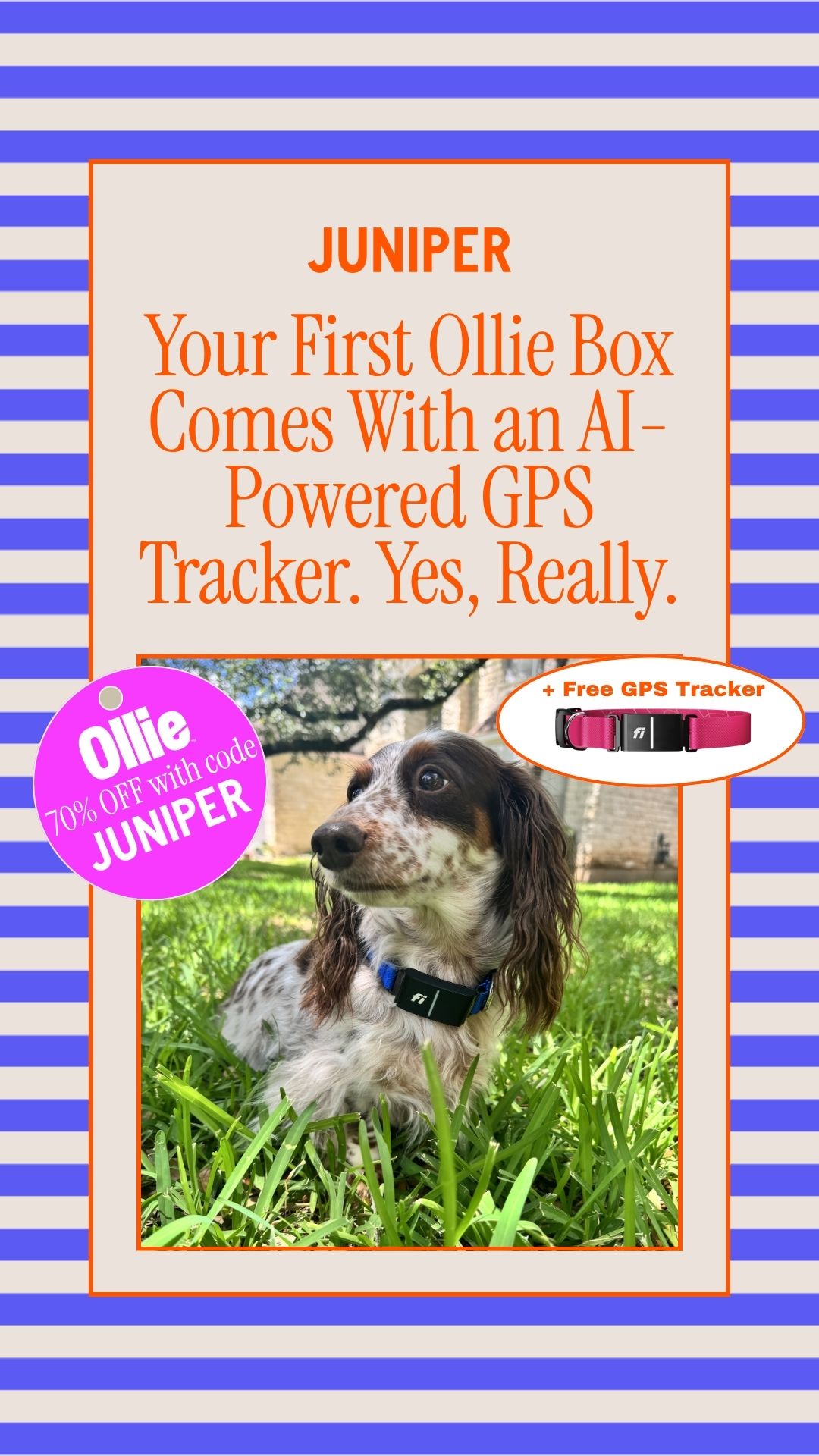 Juniper- The best online community for dog parents Facebook ad