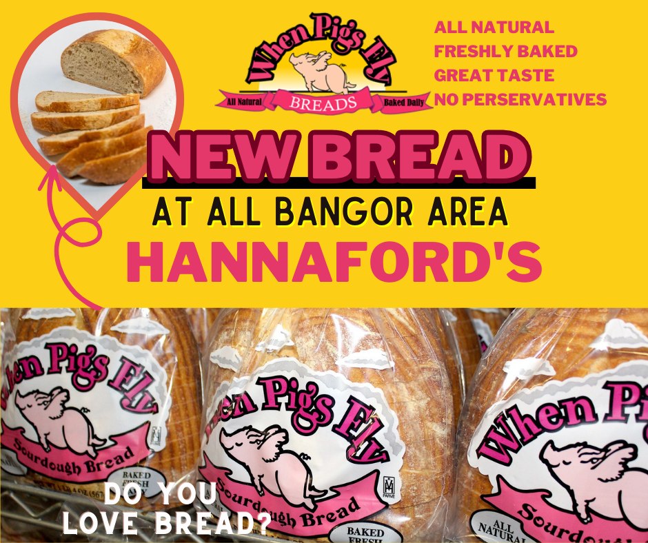 When Pigs Fly Sourdough Breads Facebook ad: Bangor! Are you craving healthier bread?