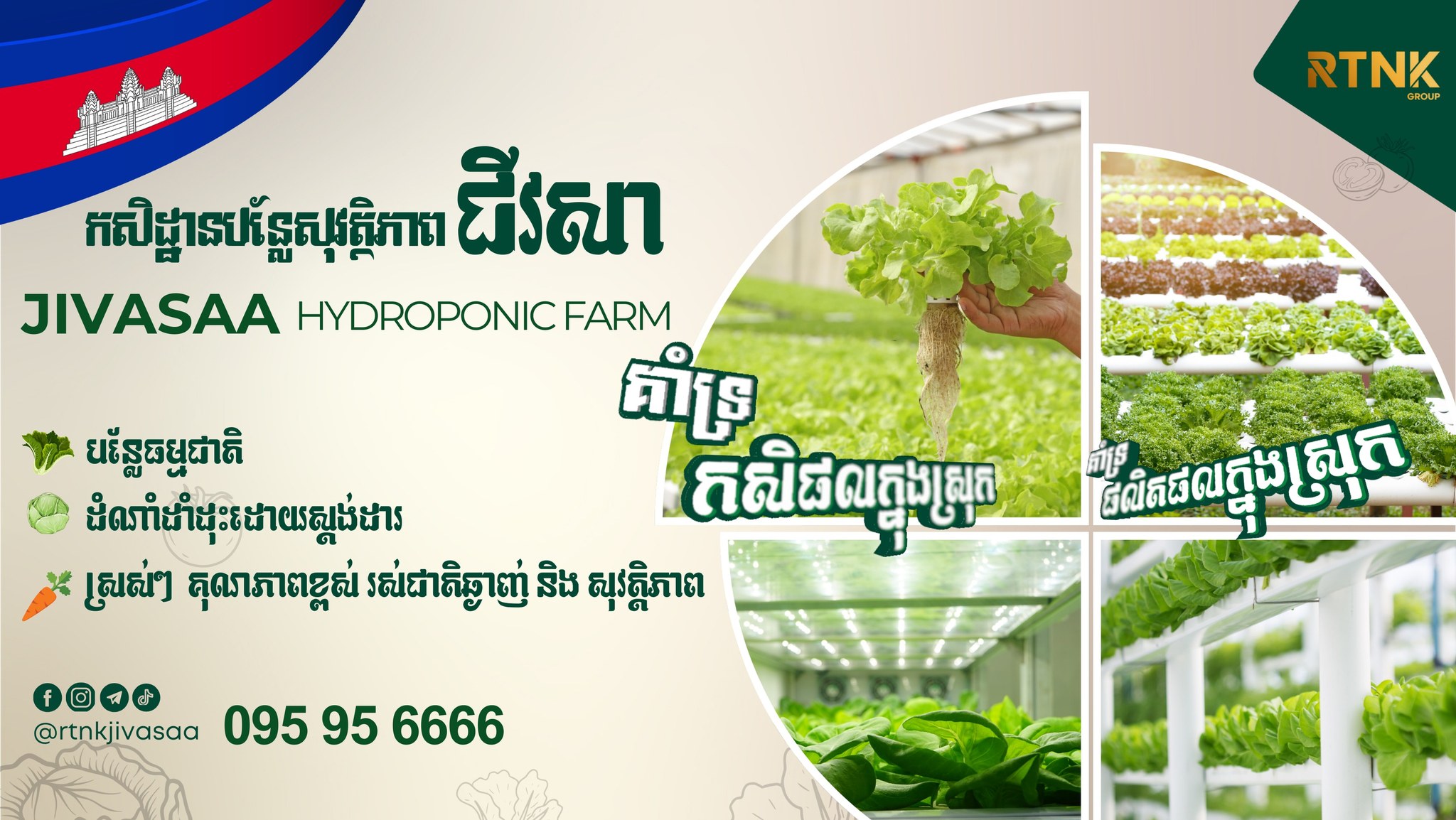 Jivasaa Hydroponic Farm Facebook ad: Jivasaa Hydroponic Farm - កសិដ្ឋានបន្លែសុវត្ថិភាពជីវសា