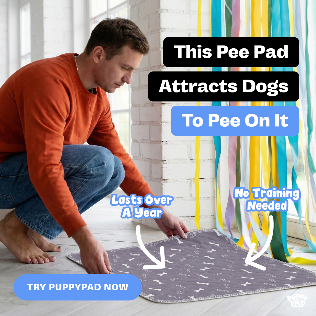 PuppyPad Facebook ad
