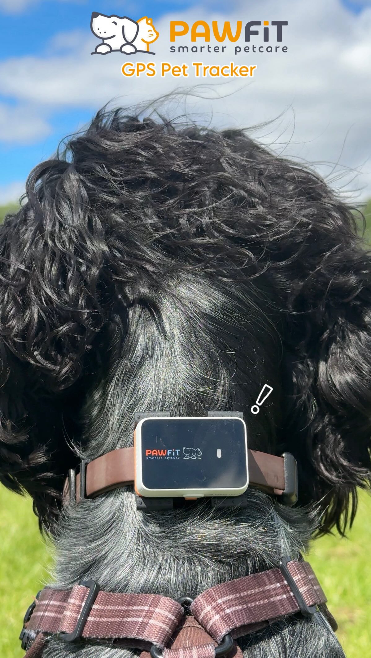 Pawfit Facebook ad: I lost Button…