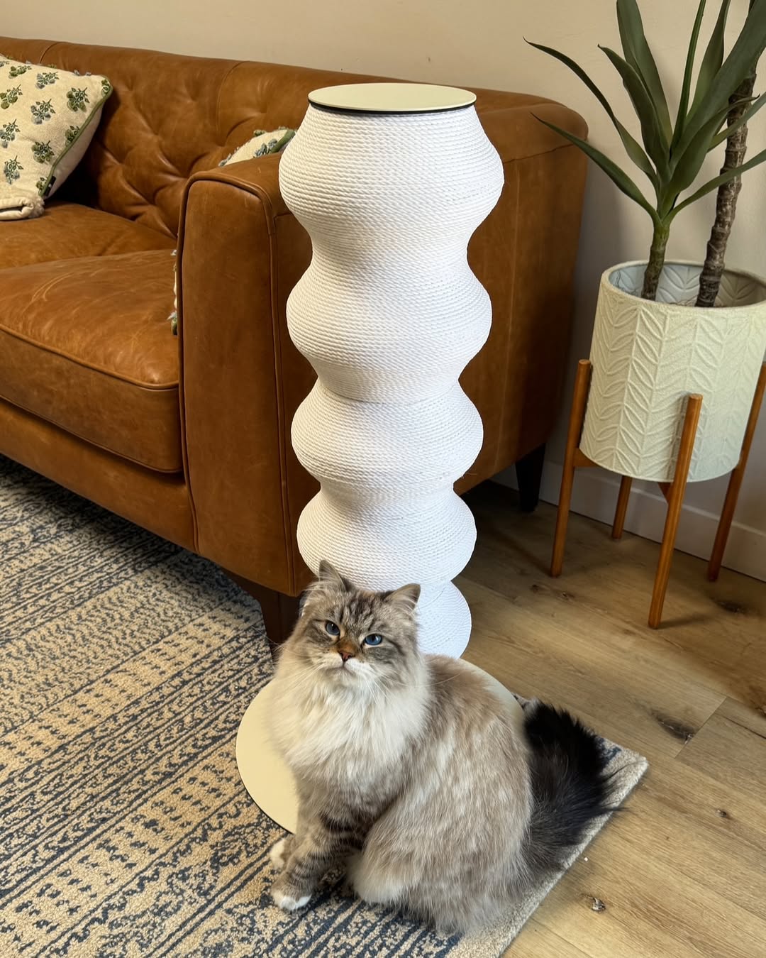 Furrytail_us Facebook ad