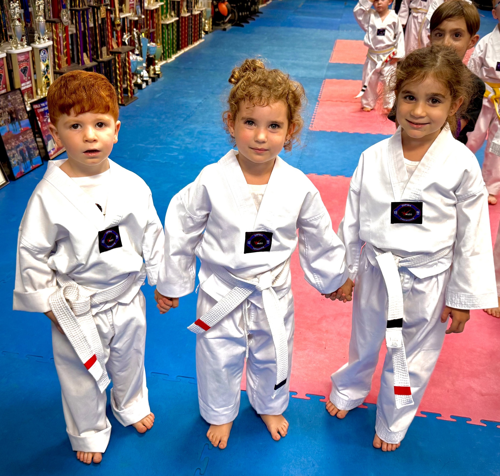 Guelph Family Martial Arts Facebook ad