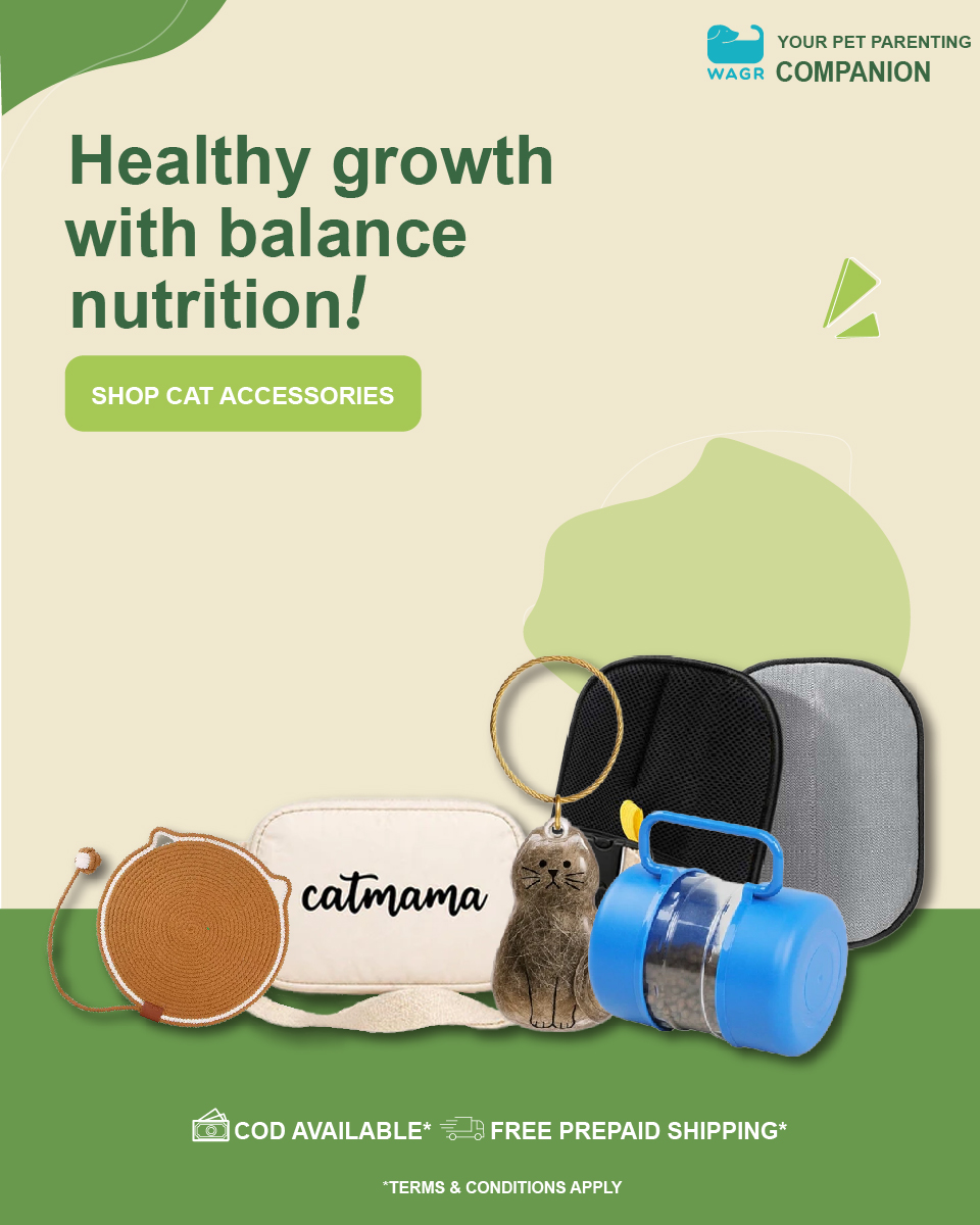 Wagr Facebook ad: Less Searching. More WAGR.
