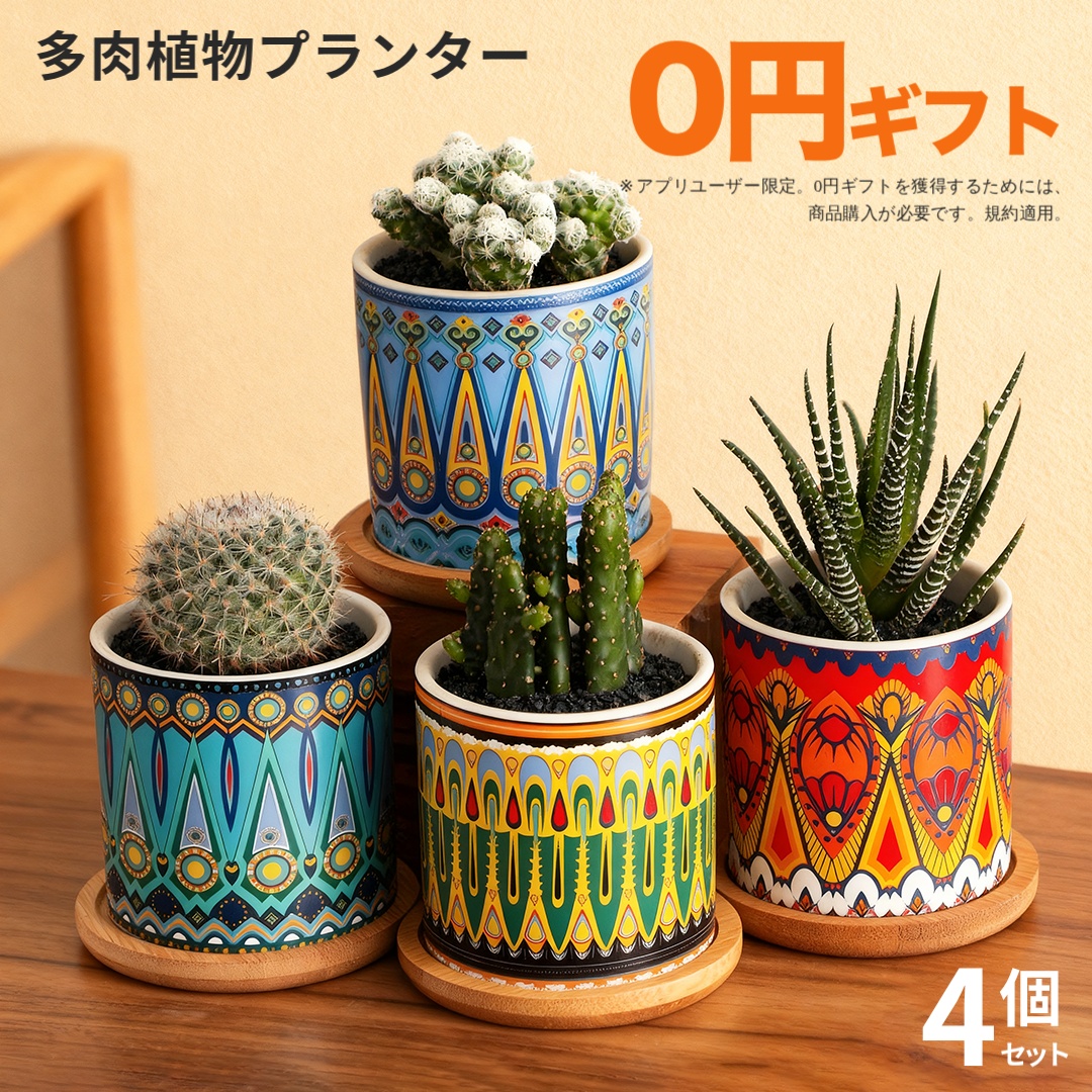 Temu Japan Facebook ad