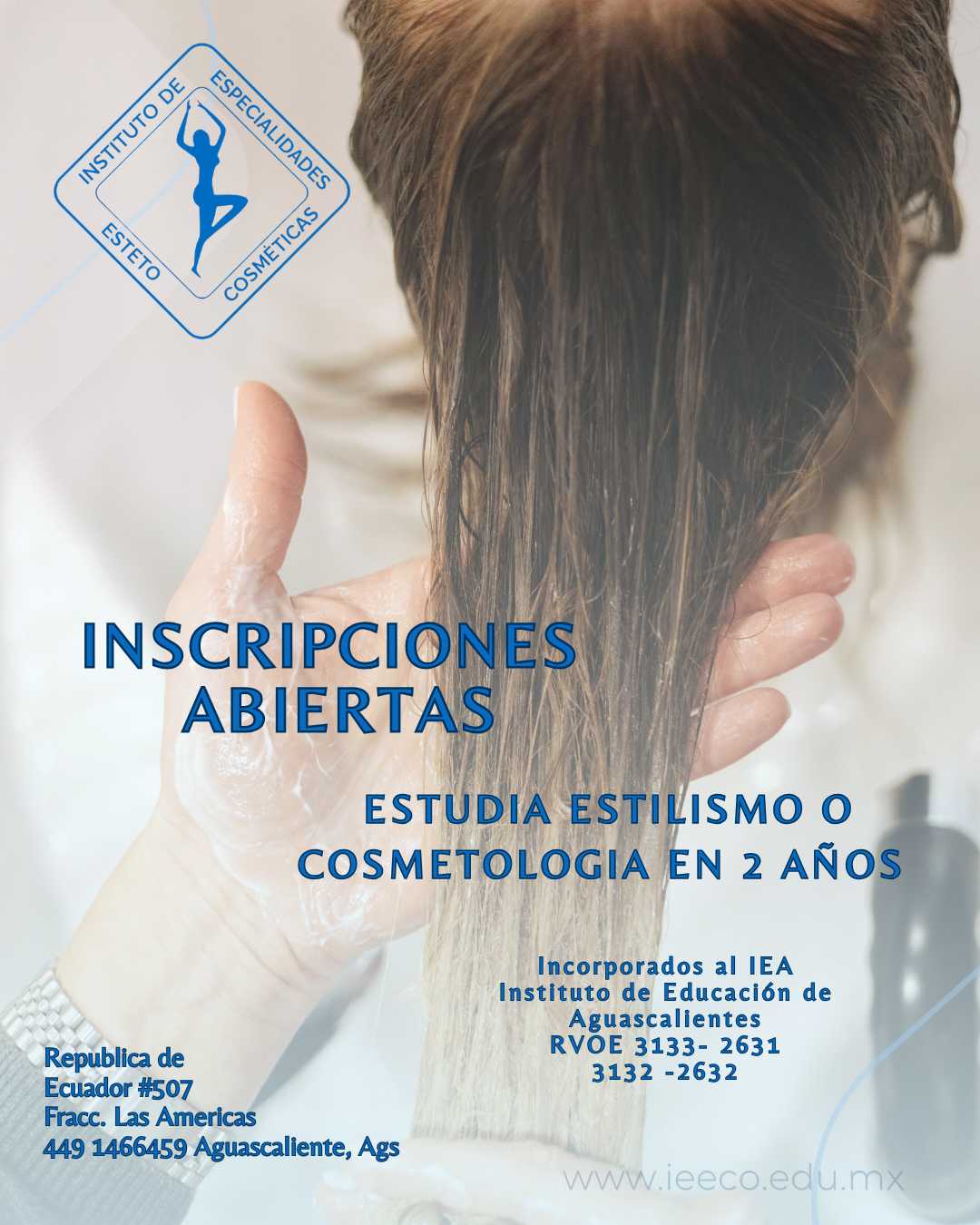 IEECO Instituto de Especialidades Estetocosmeticas Facebook ad: Vive de tu pasión