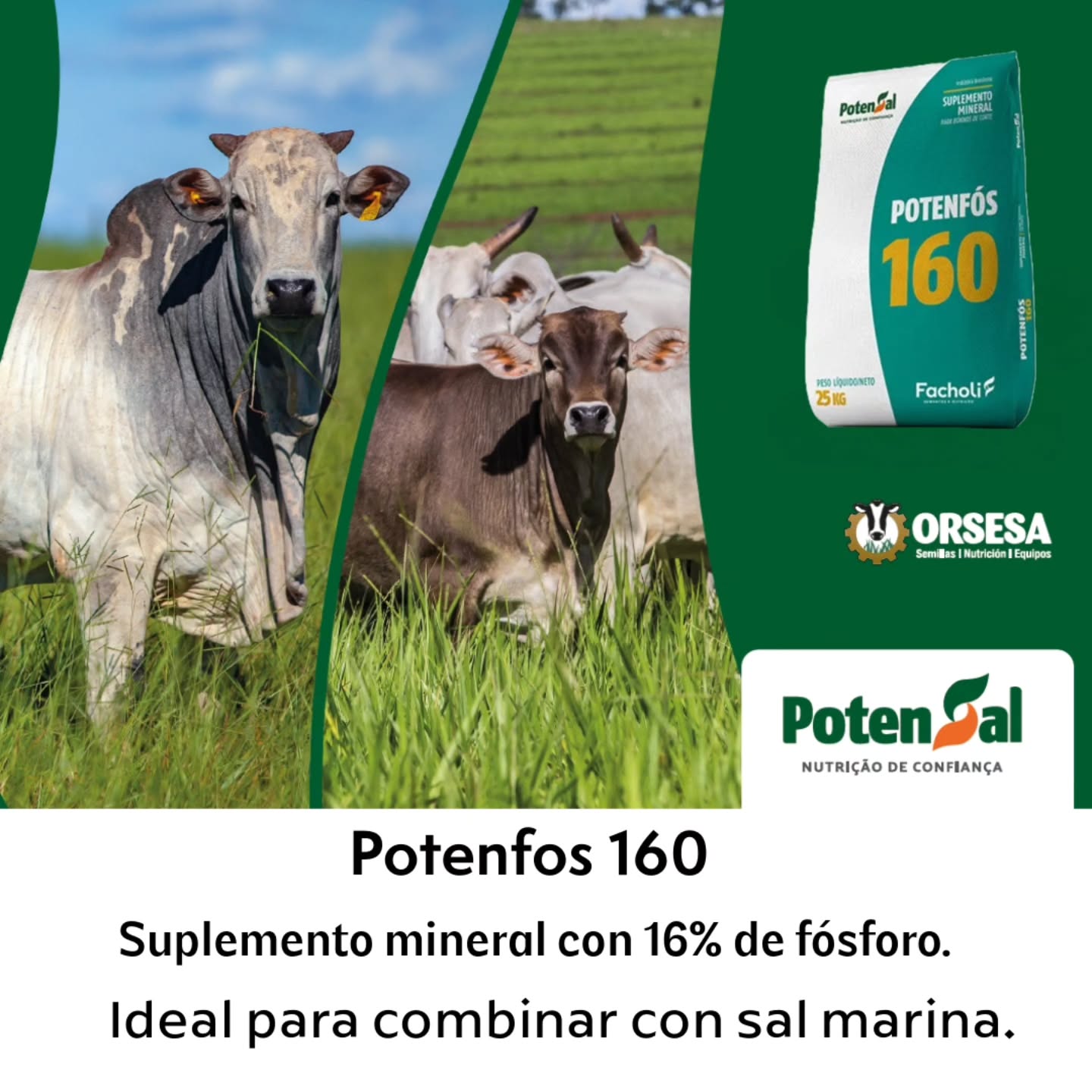 ORSESA Facebook ad: Disponible, Potenfos 160, suplemento mineral con 16% de…