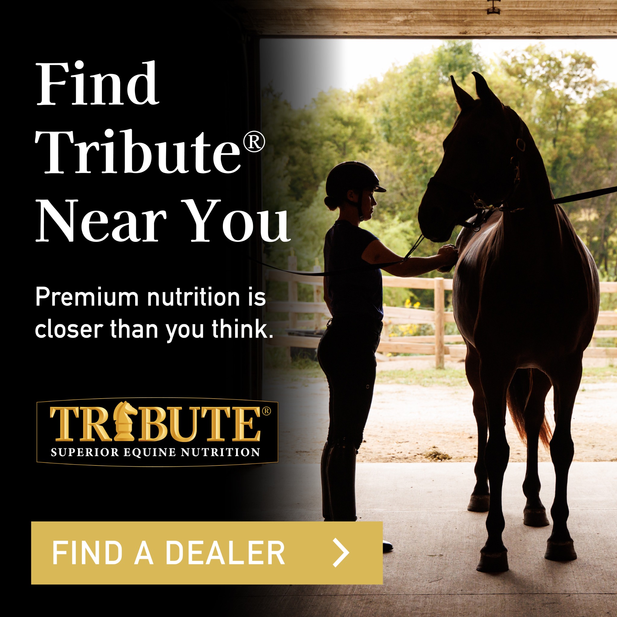 Tribute Equine Nutrition Facebook ad: Now Available Near You!