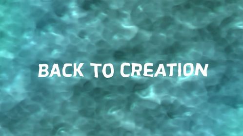 Back To Creation Facebook ad: -Wow!