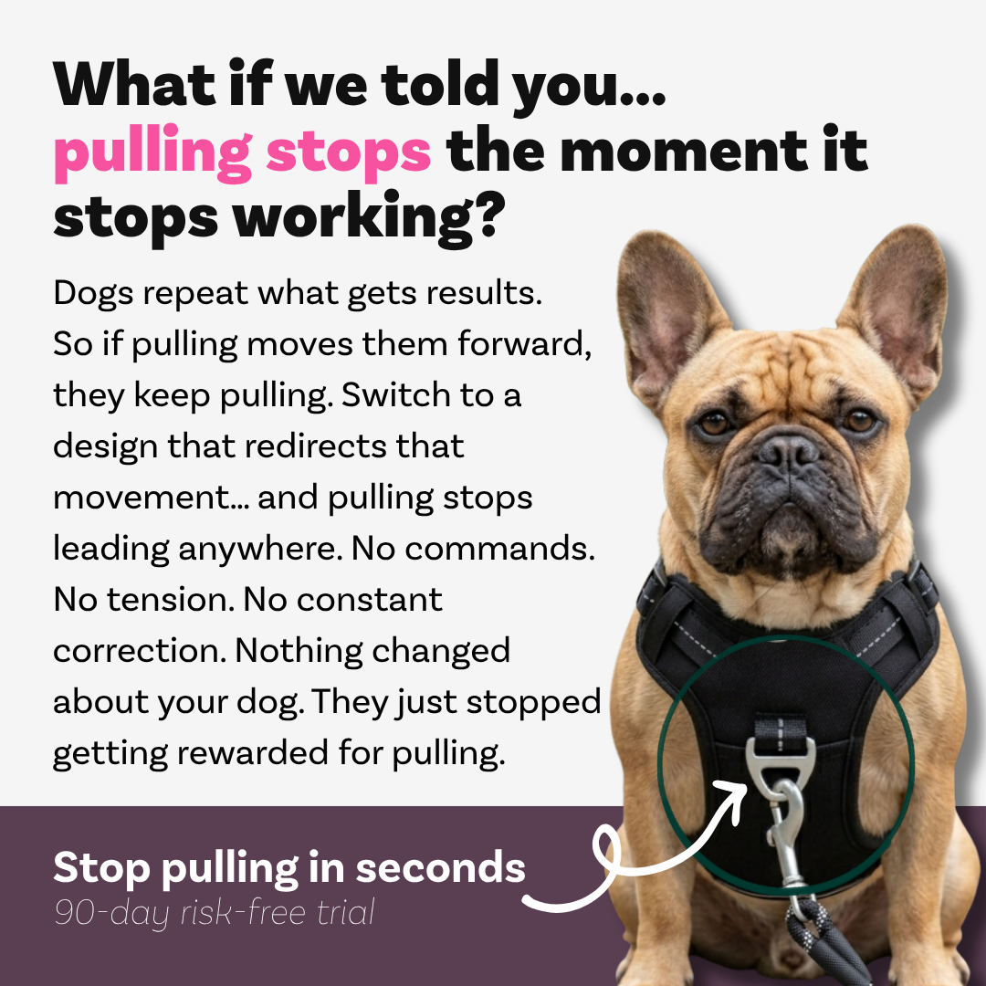 PawSafe Facebook ad