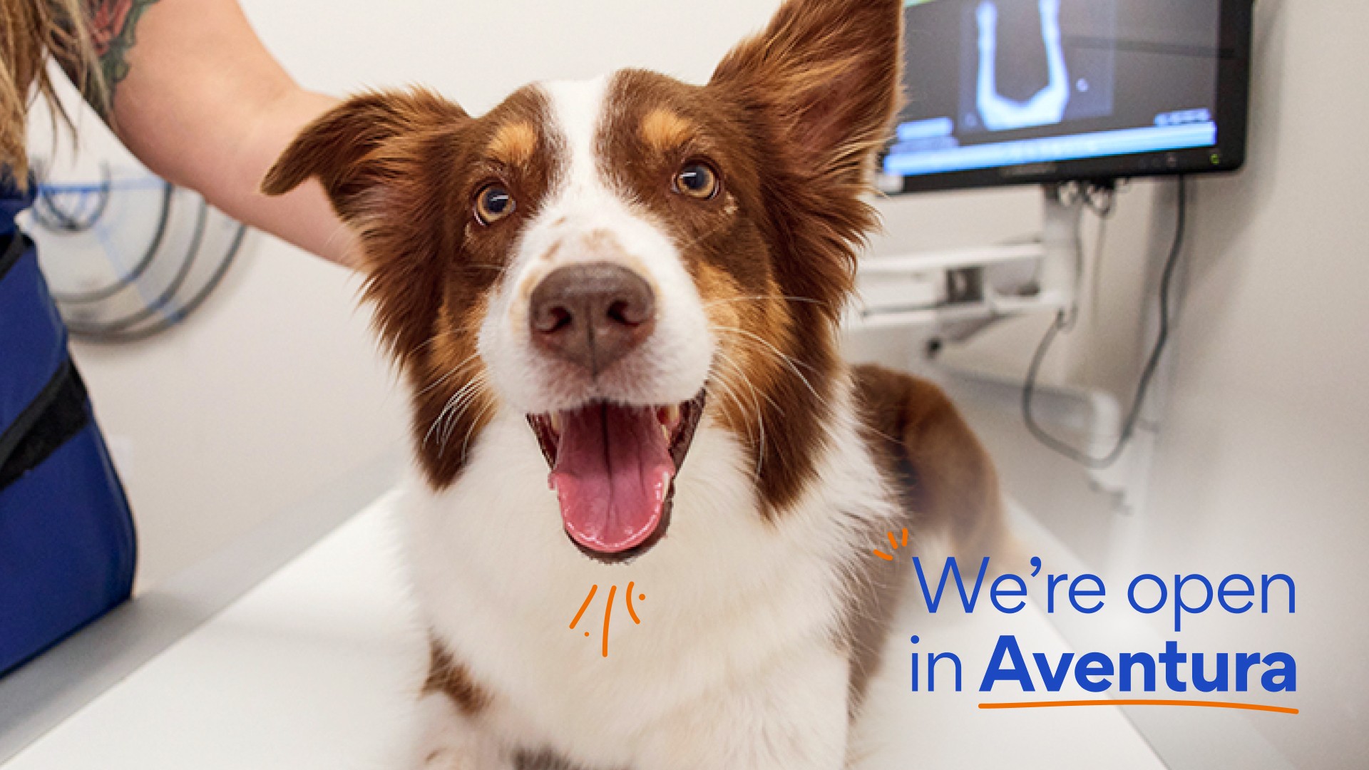 Chewy Vet Care Facebook ad