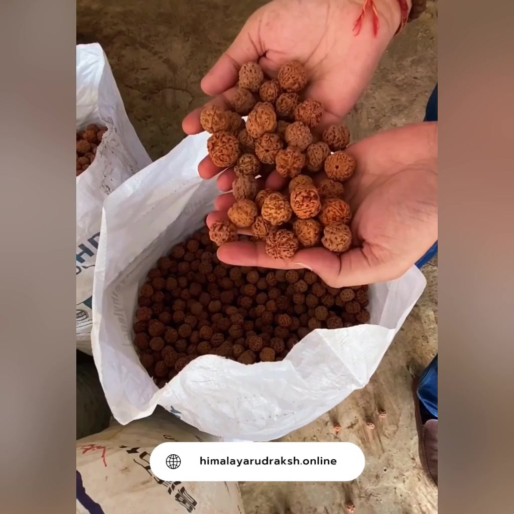Himalaya Rudraksha Anusandhan Kendra Facebook ad from May 29, 2026