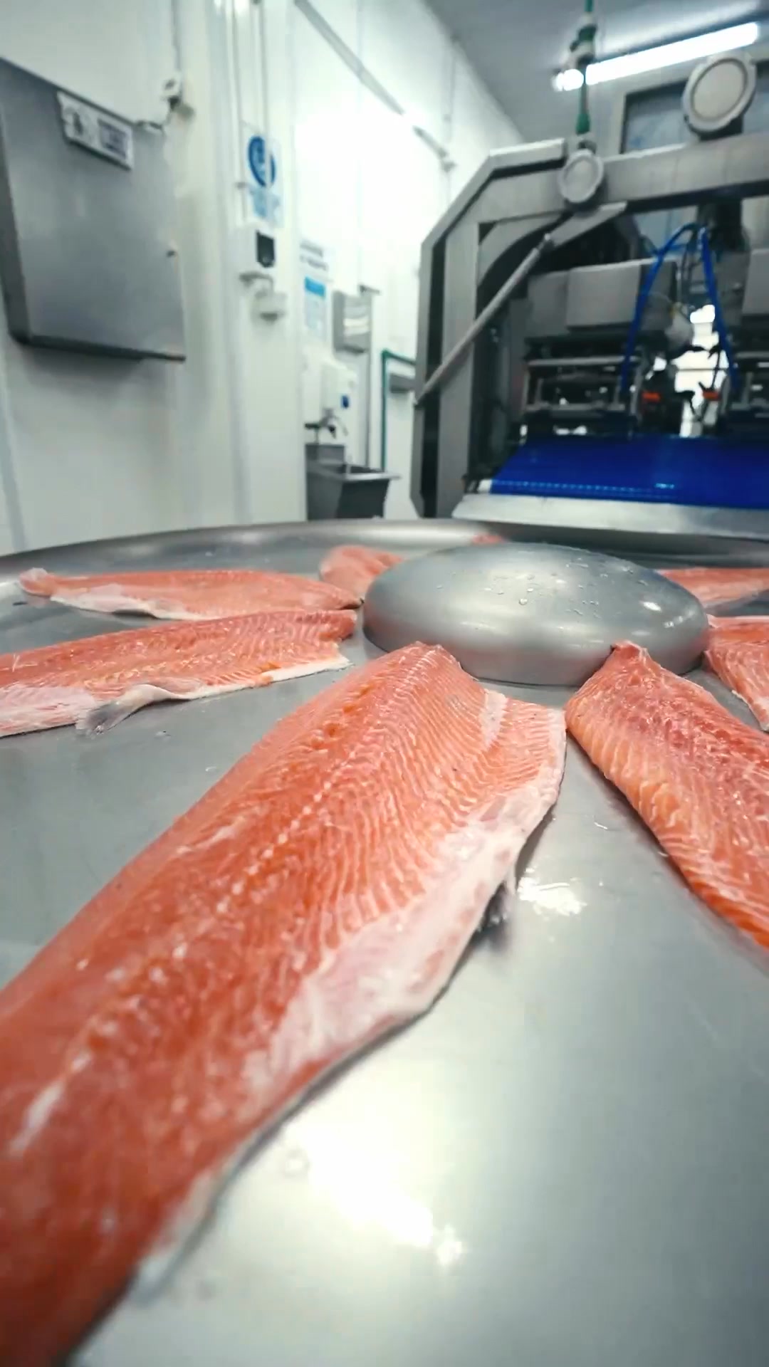 PESCE Frutos de Mar Facebook ad from Jun 11, 2026