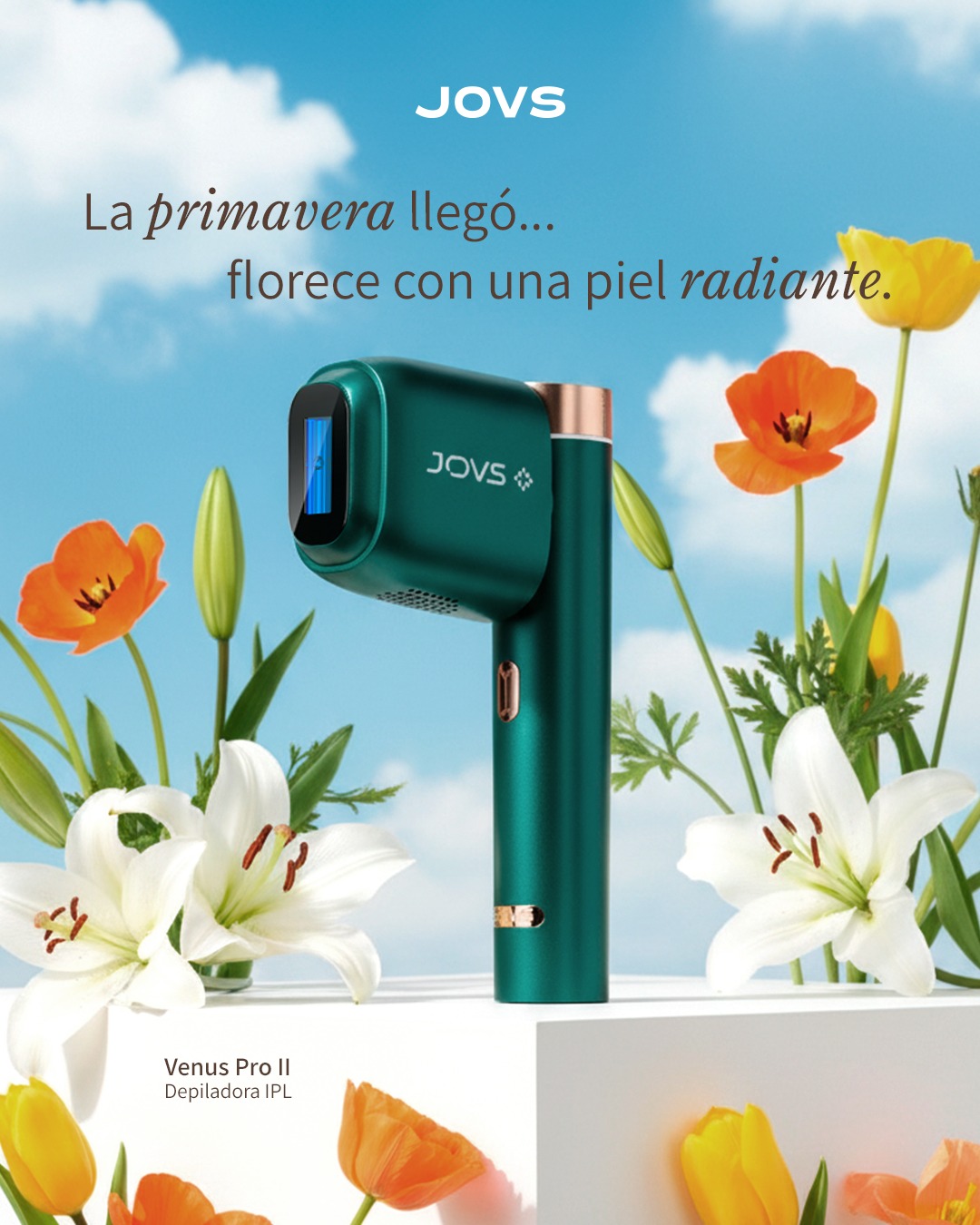 JOVS MX Facebook ad