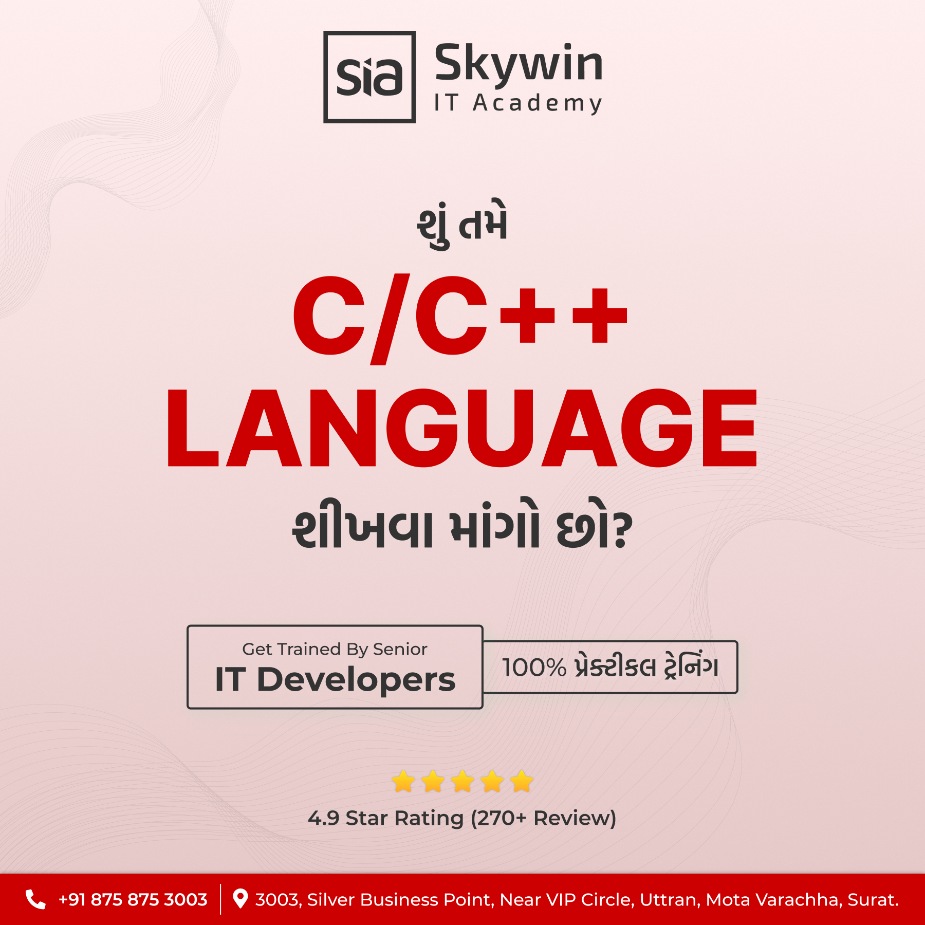 Skywin It Academy Facebook ad