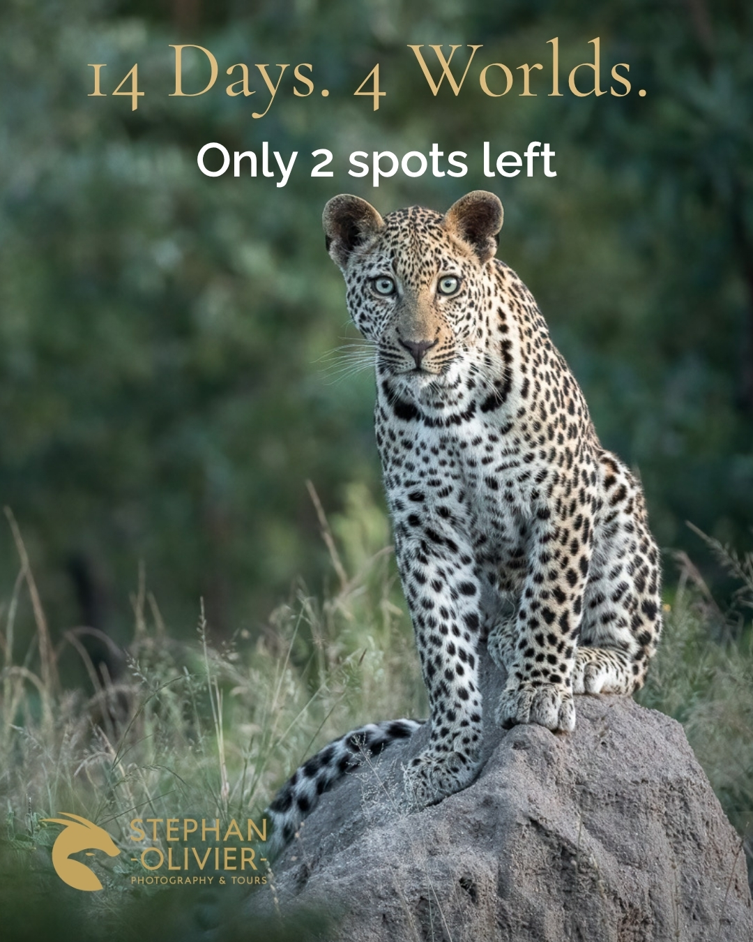 Stephan Olivier Photography & Tours Facebook ad: 14 Days. 4 Worlds. Only 2 Spots Left.