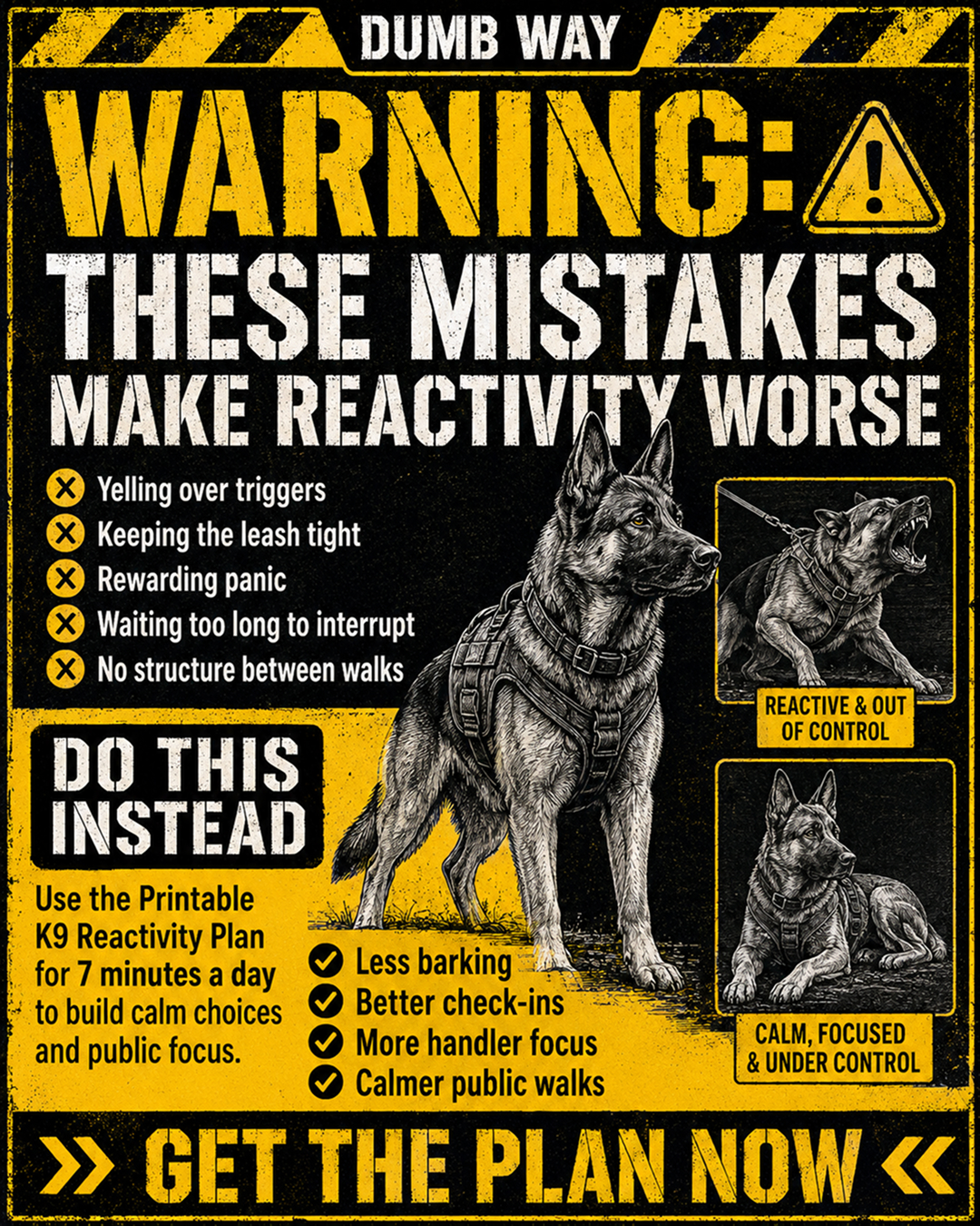 1st Dog Training Club Facebook ad