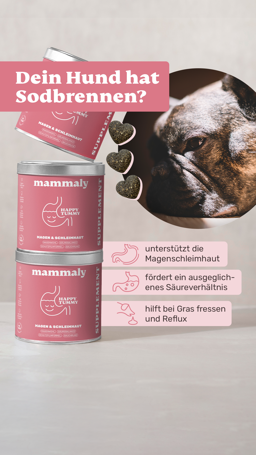 Mammaly Facebook ad