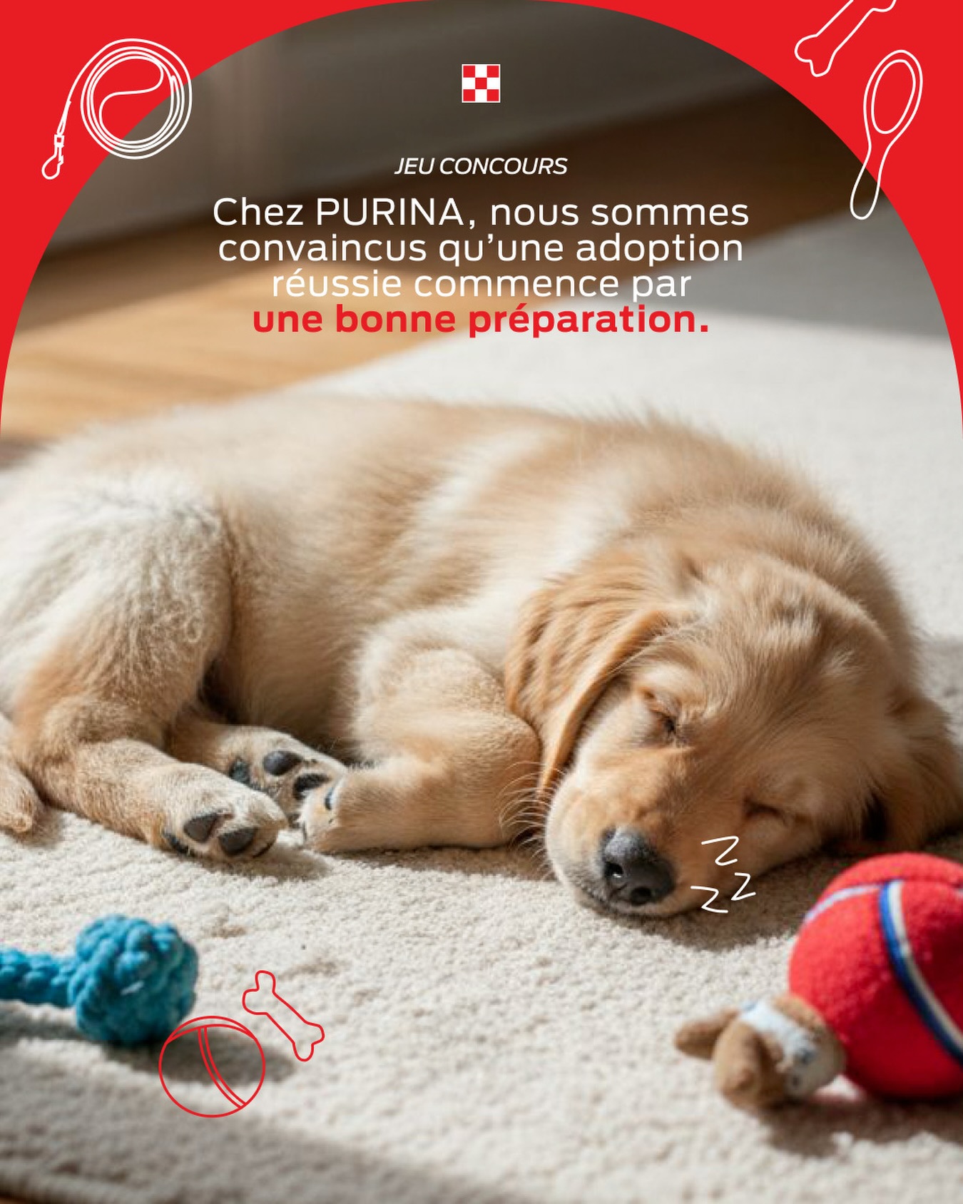 Purina France Facebook ad