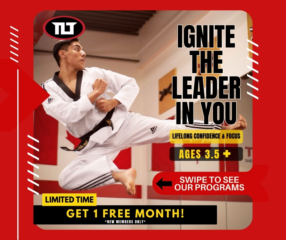 Top Level Taekwondo & Martial Arts Academy Facebook ad: Ignite the leader in you, at any age!