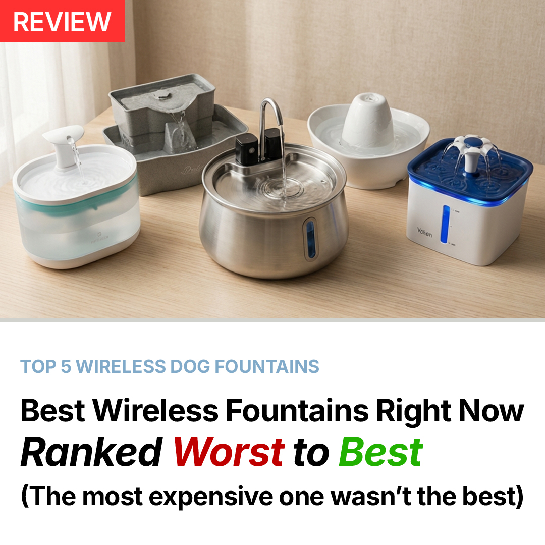 Best Dog Products 2026 Facebook ad